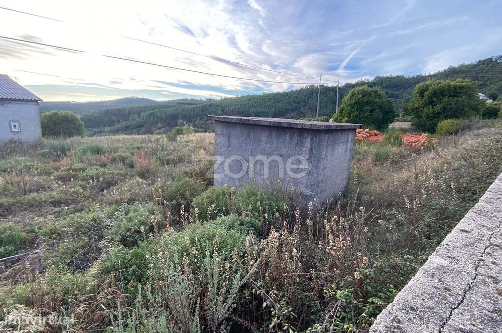 Terreno com 5.000 m2 em Brejas do Barco, Cambas, Oleiros