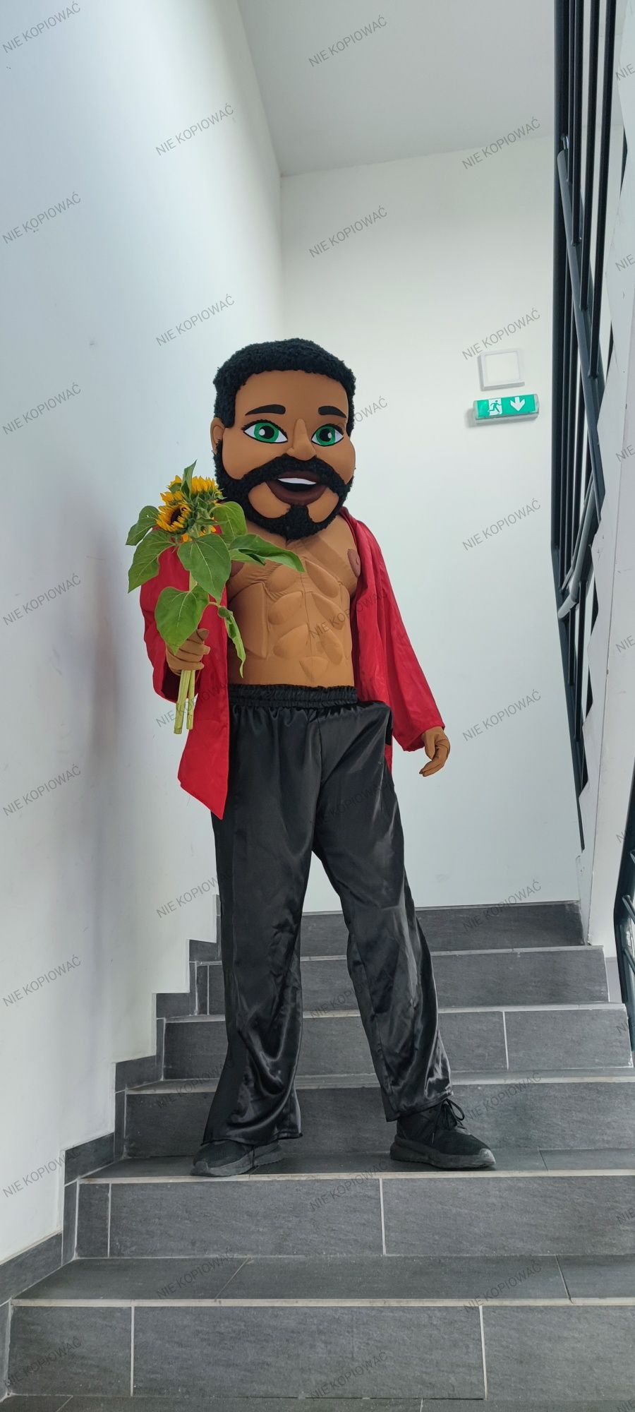 Tancerze ALVARO  żywa maskotka