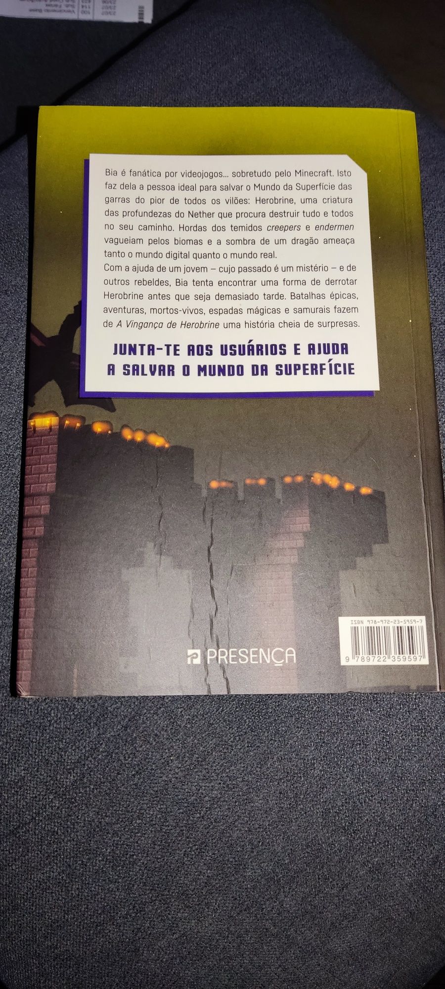 Livro A vingança de herobrine, Minecraft