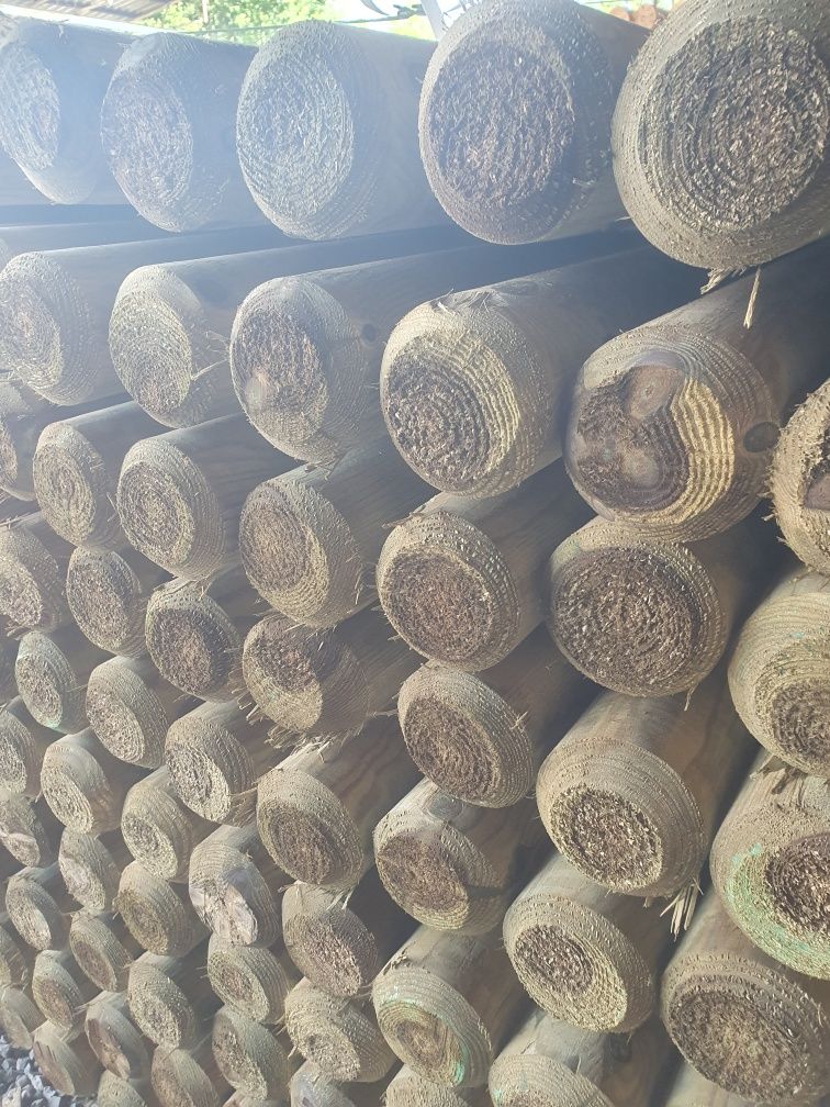 Palisady bale sosnowe fi 10 i fi 12 długość 3 m