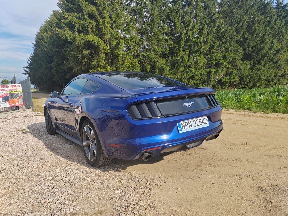 Mustang Fastback 2.3 Turbo | Automat | Sprzedam/zamienie