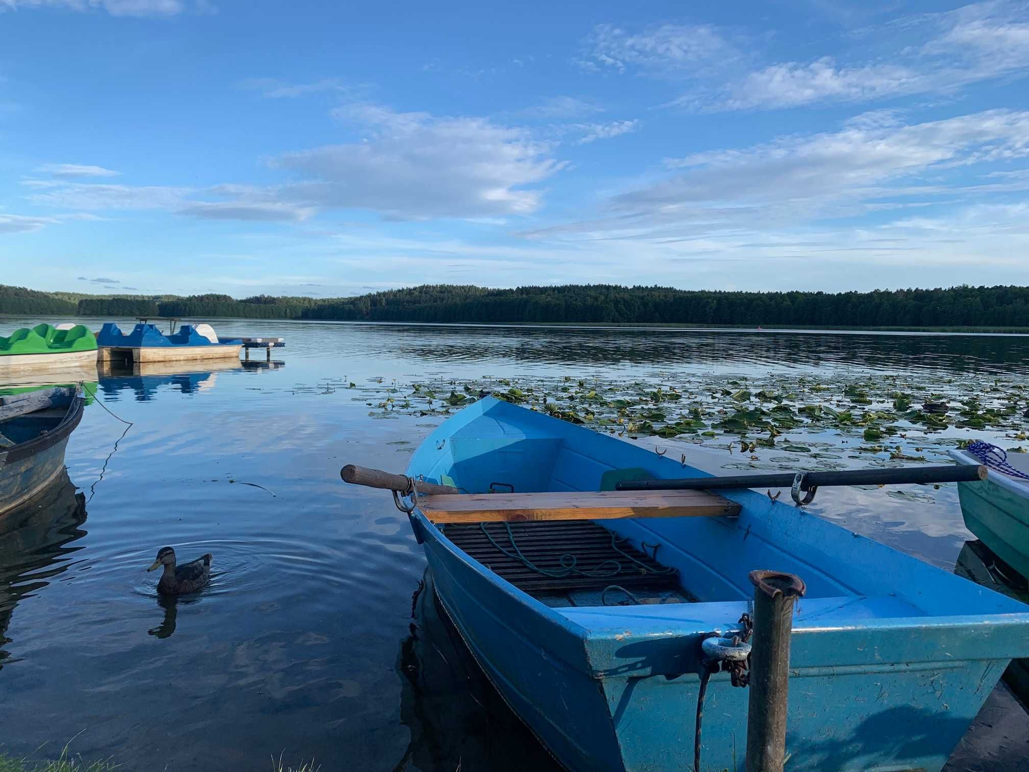 Dom, domek (99m2) na Warmii i Mazurach, las, jezioro, plaża 20 m
