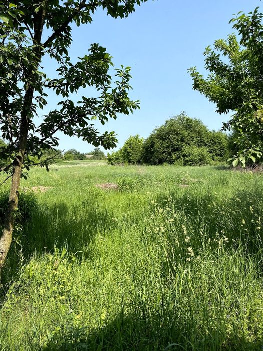 Продаж будинку недалеко від Чернігова