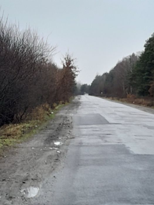 Продам ПАЙ Чорнозем м. Березне  1,41 Га (неподалік траса)