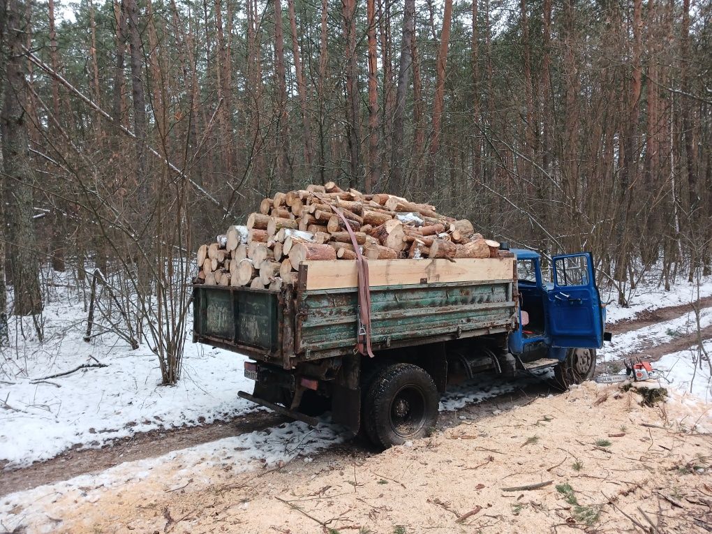 Дрова різних порід.