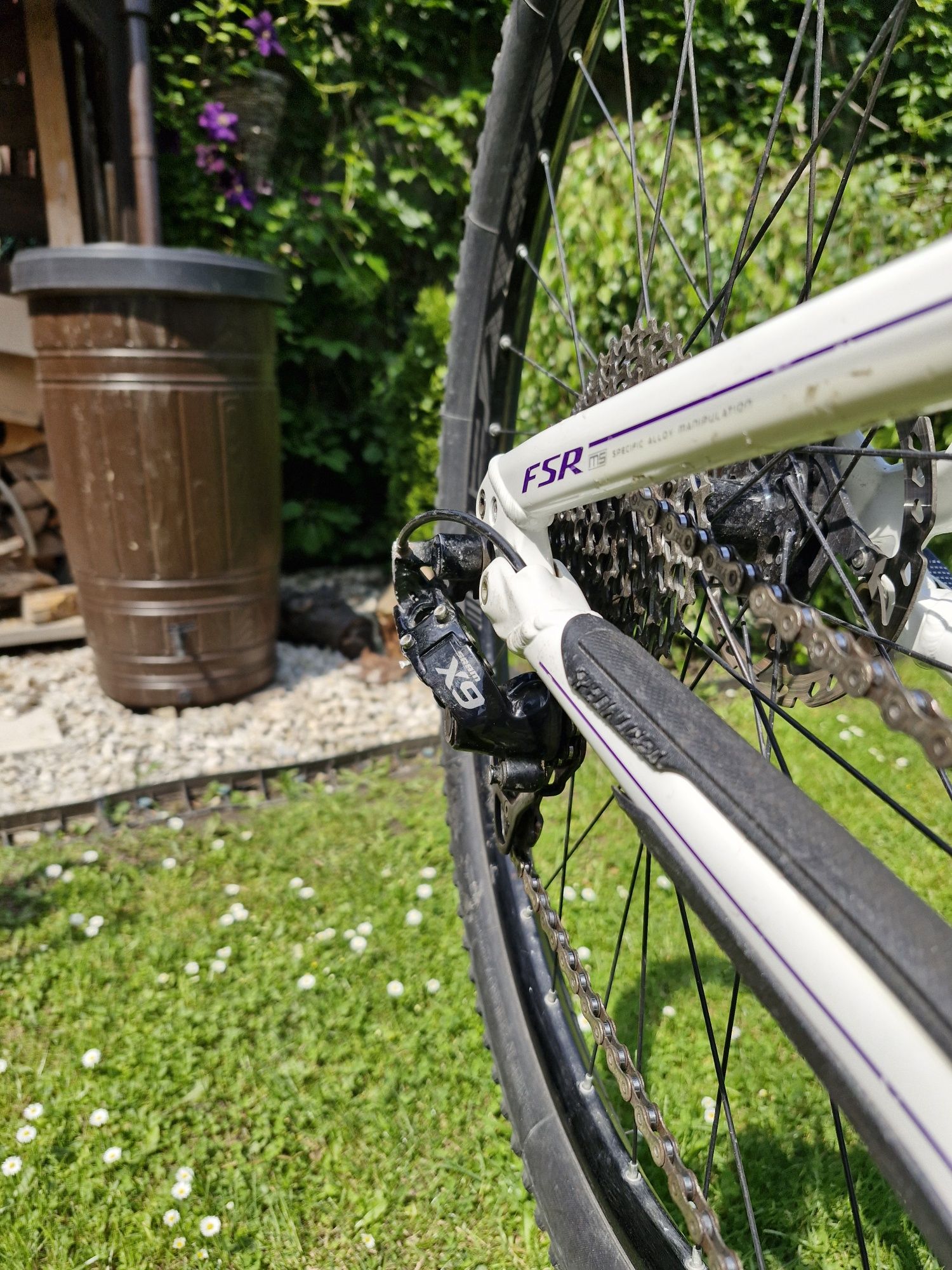 Specialized Rumor Comp