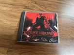 Gra Duke Nukem Total Meltodown 3D