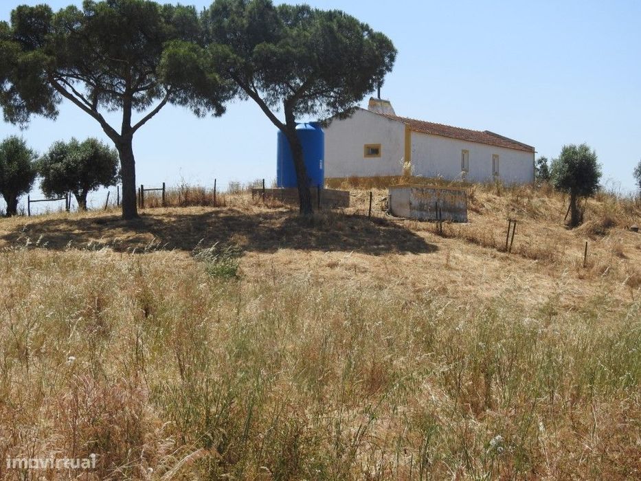 HERDADE (42,3 ha)