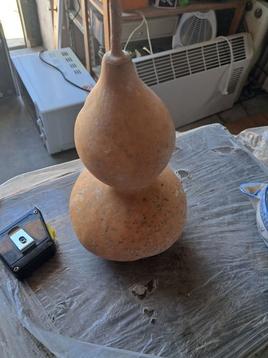 Cabaça  para colecção