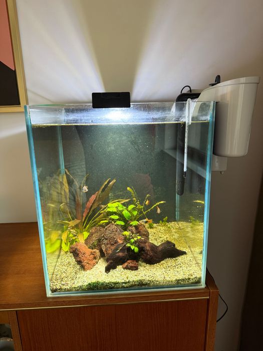 Zestaw akwariowy Aquael Fish & Shrimp Set Duo 49L – z lampą Fluval