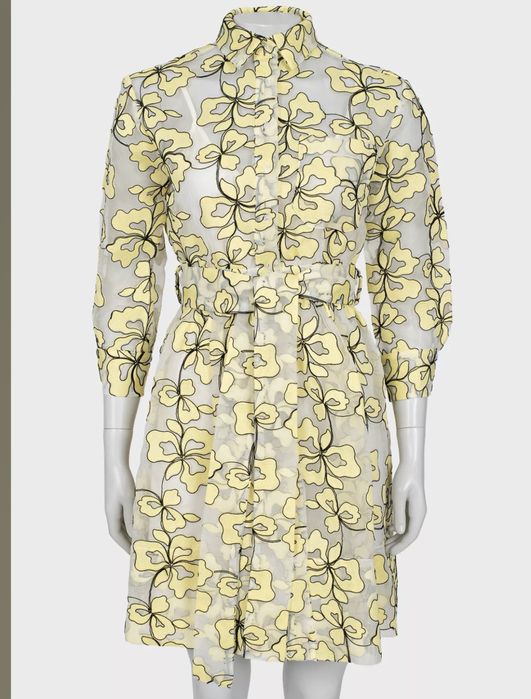 Maje прозора сукня на ґудзиках з вишивкою