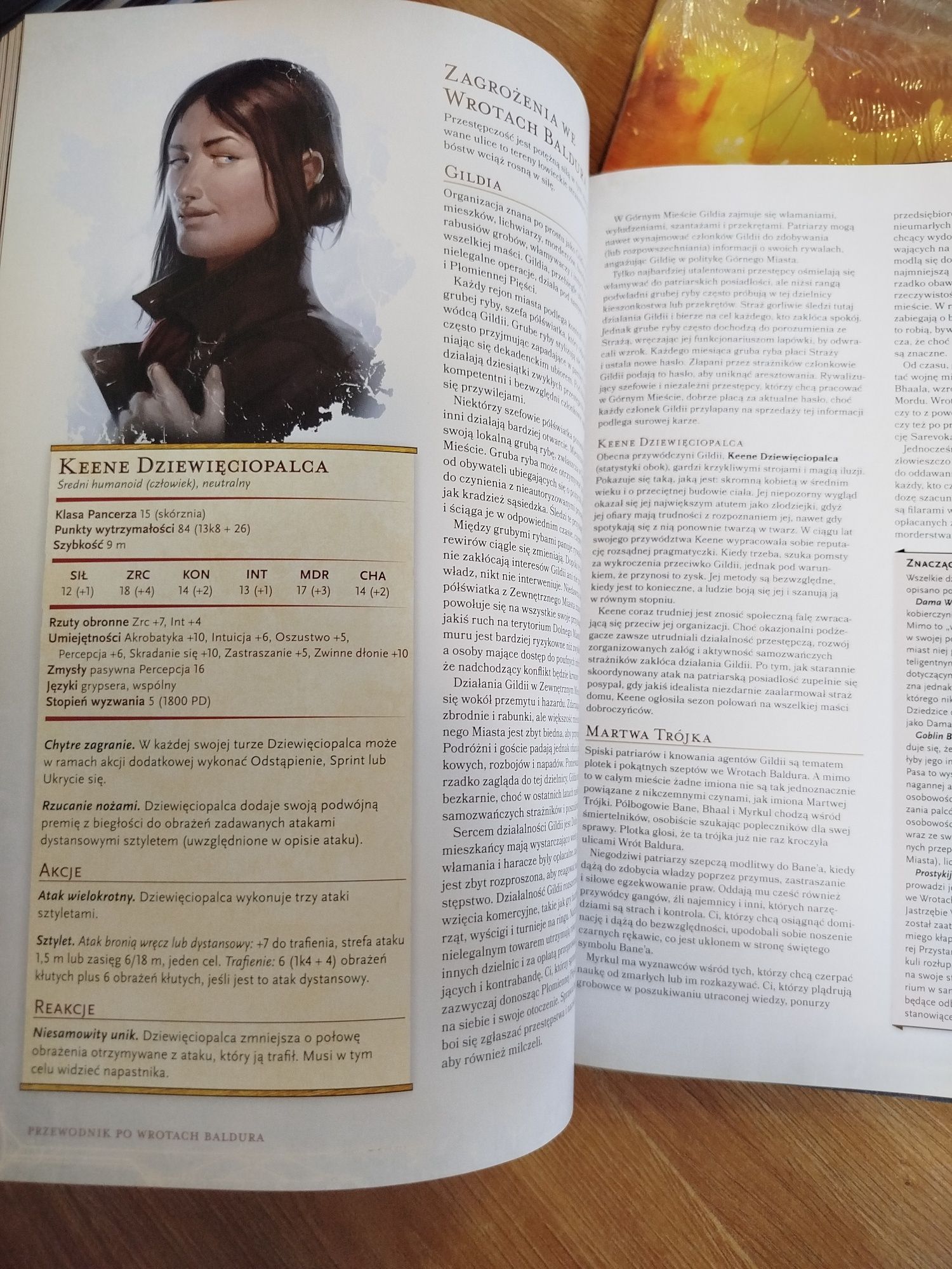 Dungeons and dragons podręcznik rpg Zstąpienie do Avernusa + ekran