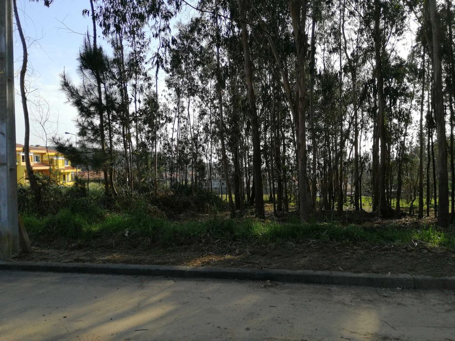 Lote de Terreno em S. João de Ver