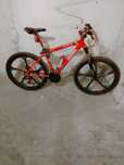 Rower Ferrari CX50