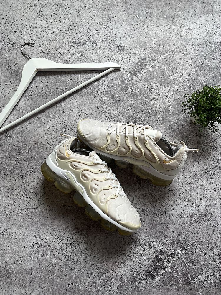 Чоловічі Кросівки Nike Vapormax Plus Tn