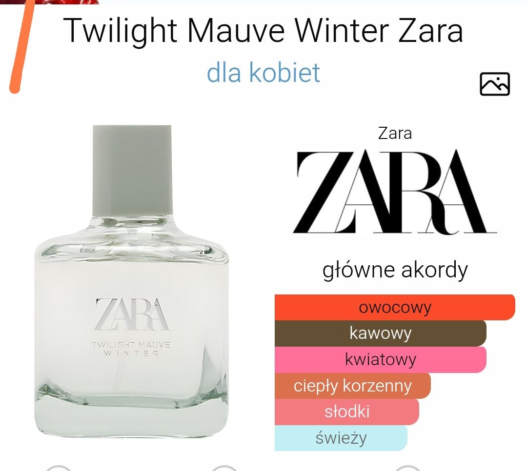 Twilight Mauve Winter Zara