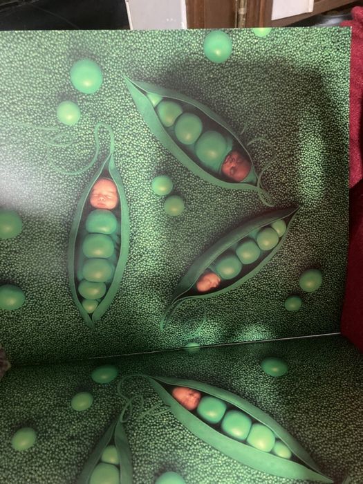 fotografias Botswana e o jardim encantado arpad szenes la piste