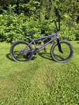 Rower bmx wtp awake