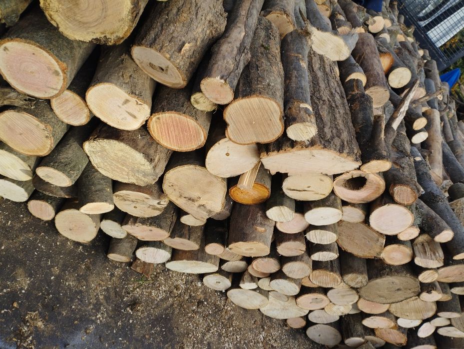 Drewno Gałęziówka Jesion,Grab,Jawor