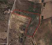 Terreno com ruina para Restaurar Junto a Santarém
