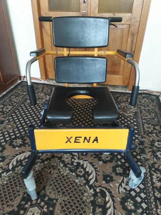 Крісло- туалет на колесах