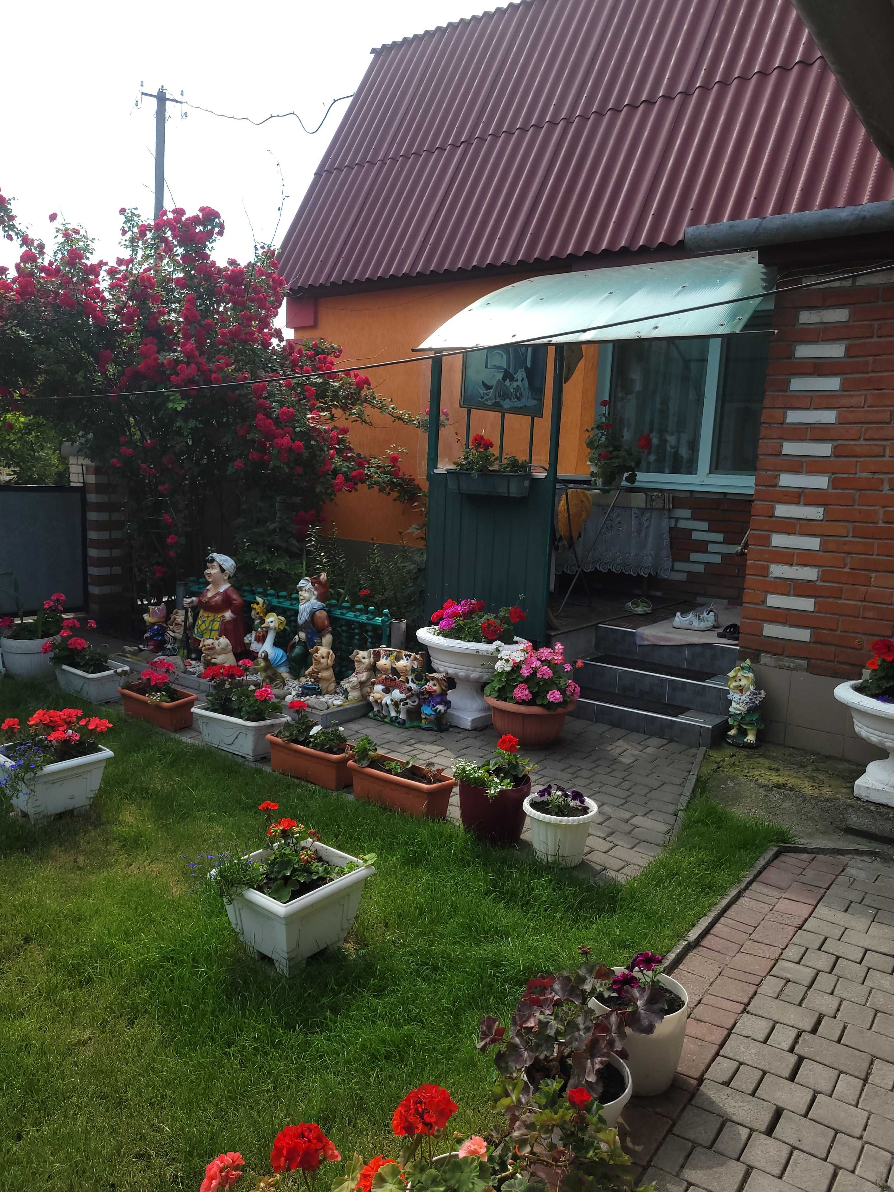 Продам дворище з 2-а будинками, госп. будівлями та земельною ділянкою
