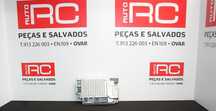 Centralina de Estacionamento Ford Fiesta