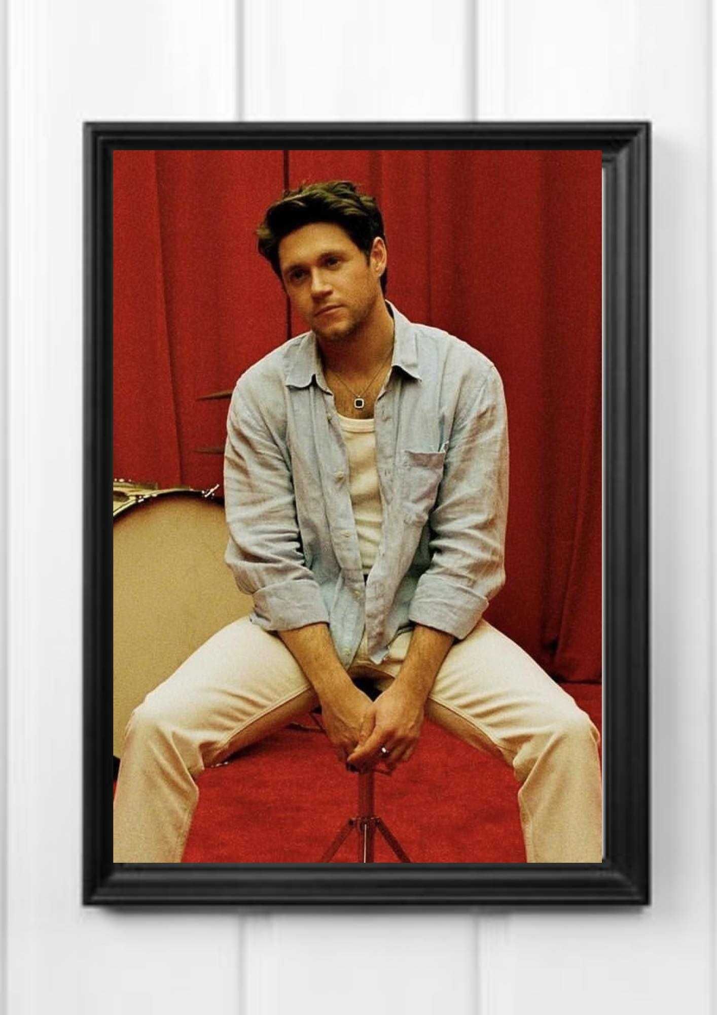 Plakat A4 kodak niall horan
