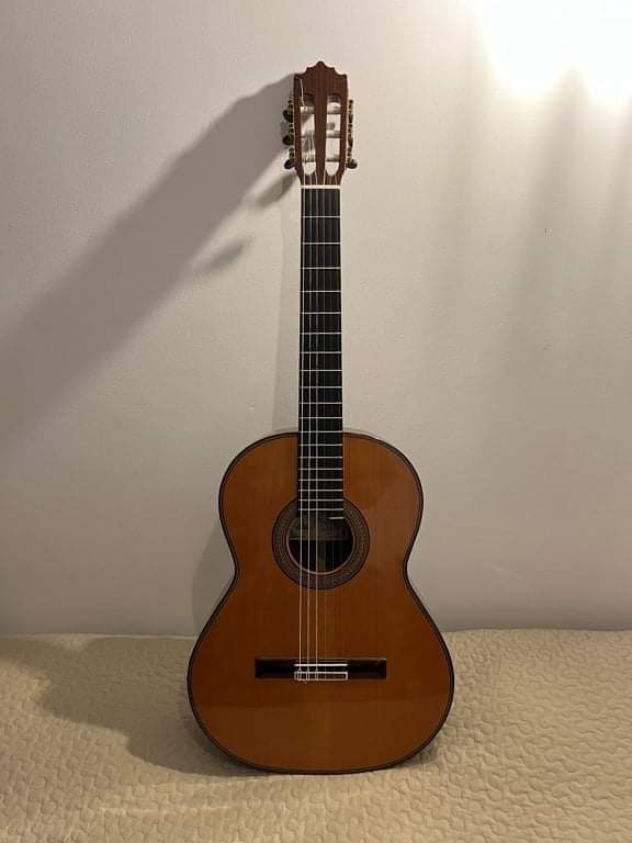 Guitarra Paco Castilho 205