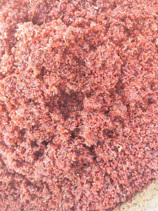 Дафнія мороженний корм с коретрой для акваріумних риб і креветок.