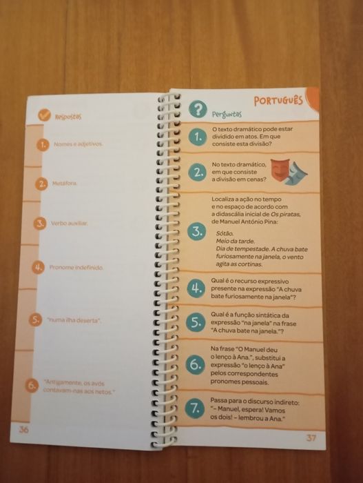 Livro- sabes tudo na ponta da língua?