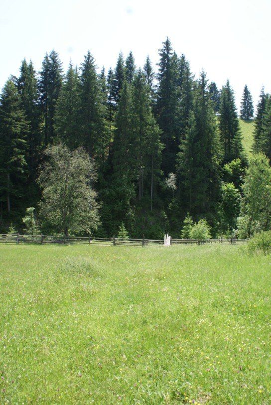 Земельна ділянка в Карпатах поруч з курортом Буковель.