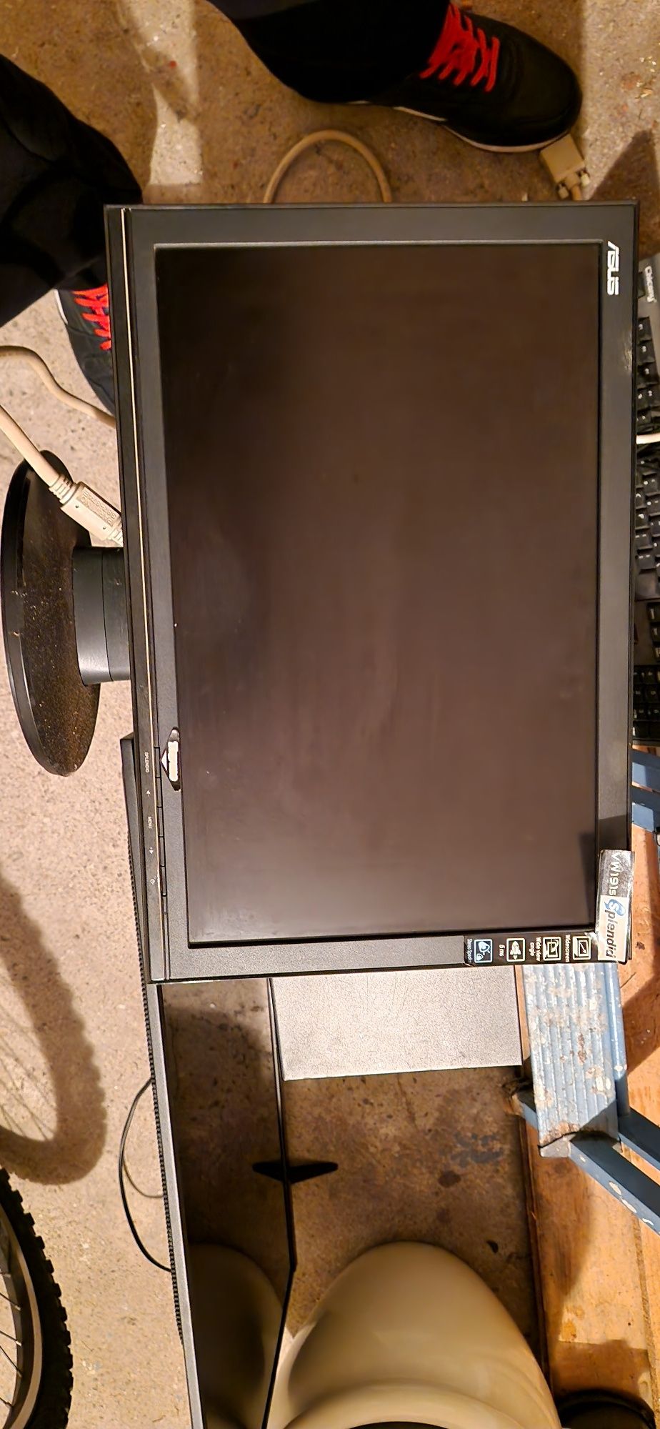 Monitor        ASUS