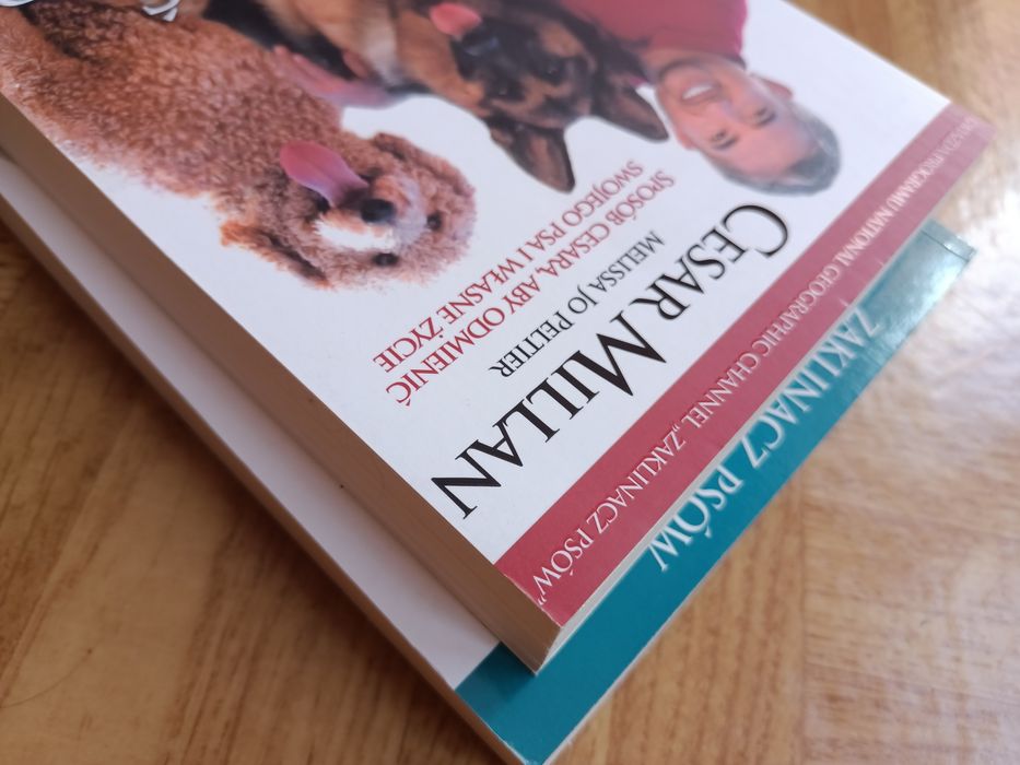 Jak zostać przywódcą stada. Jak wychować idealnego psa. Cesar Millan.