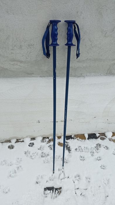 Палкі для спортивних прогулок