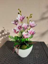 Storczyk jak wiosenną magnolia, kompozycja ze storczykami