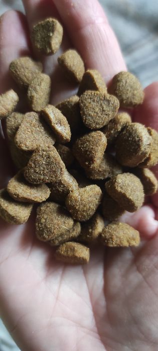 ARATON LAMB Adult All Breeds Для дорослих собак (залишок 1.9 кг)