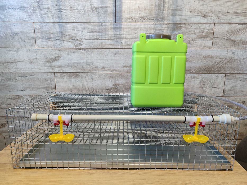 Клітка для перепелів