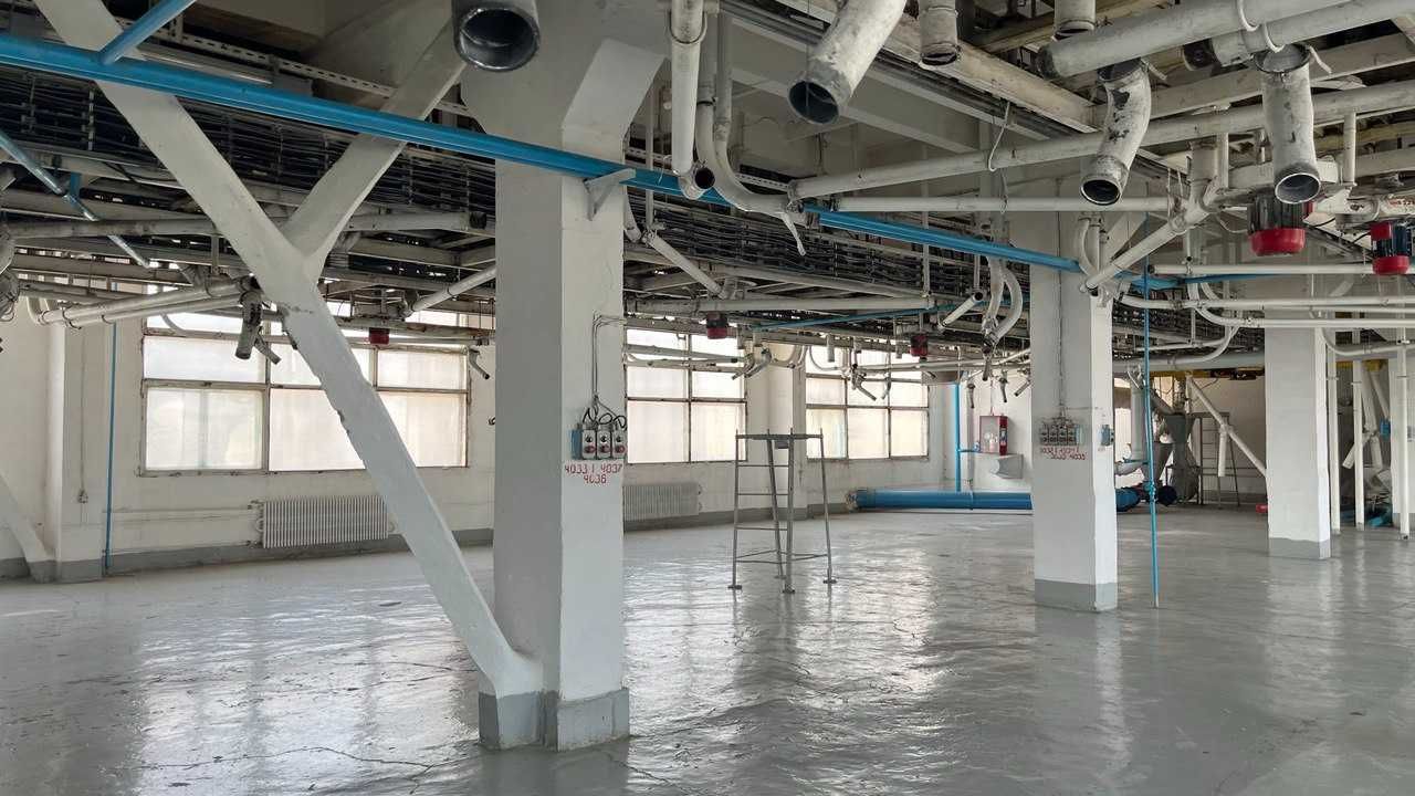 ЄМК ДП "Новопокровський комбінат хлібопродуктів", площа 57 тис.кв.м