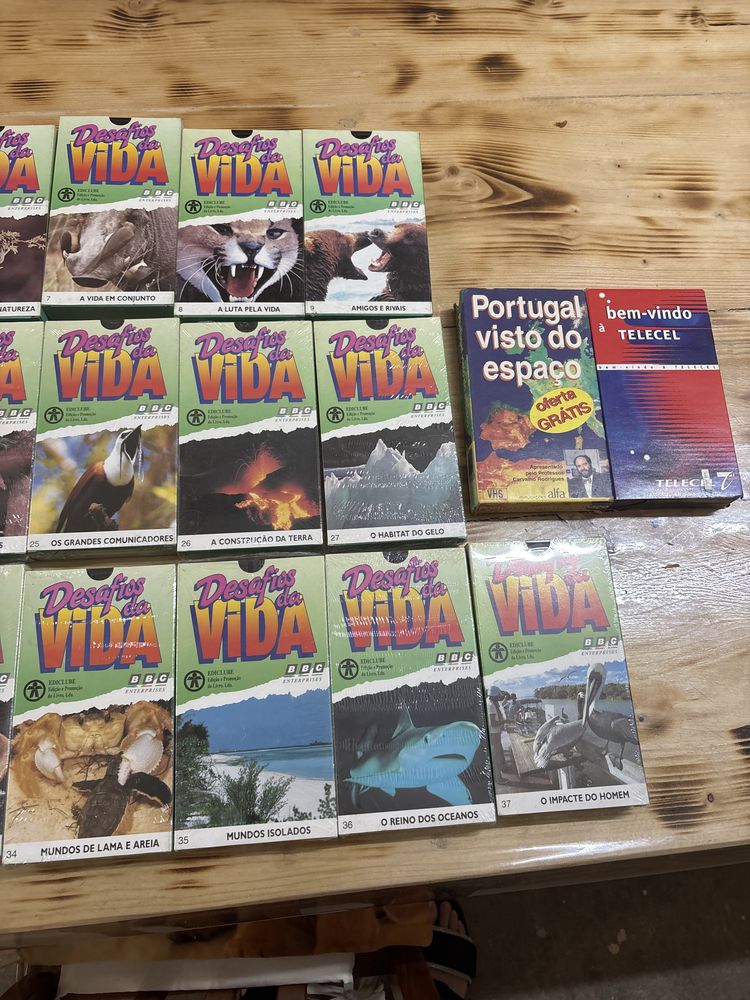 cacetes de video