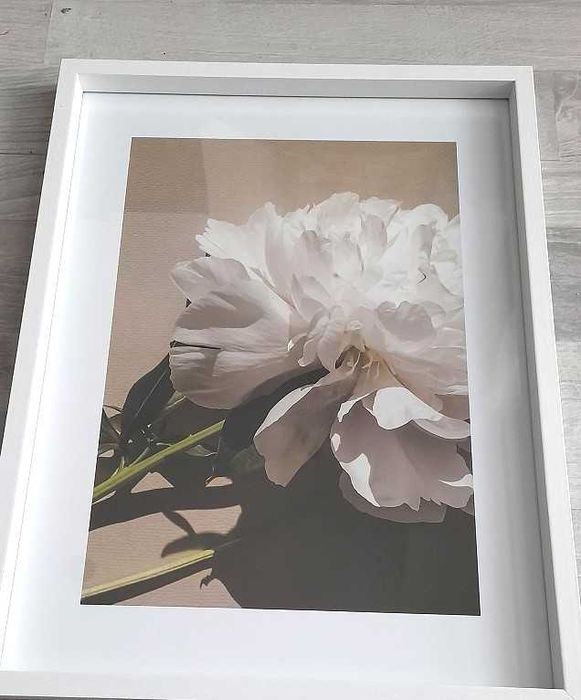 Obraz z Passepartout i Ramą Kwiaty_Nowy