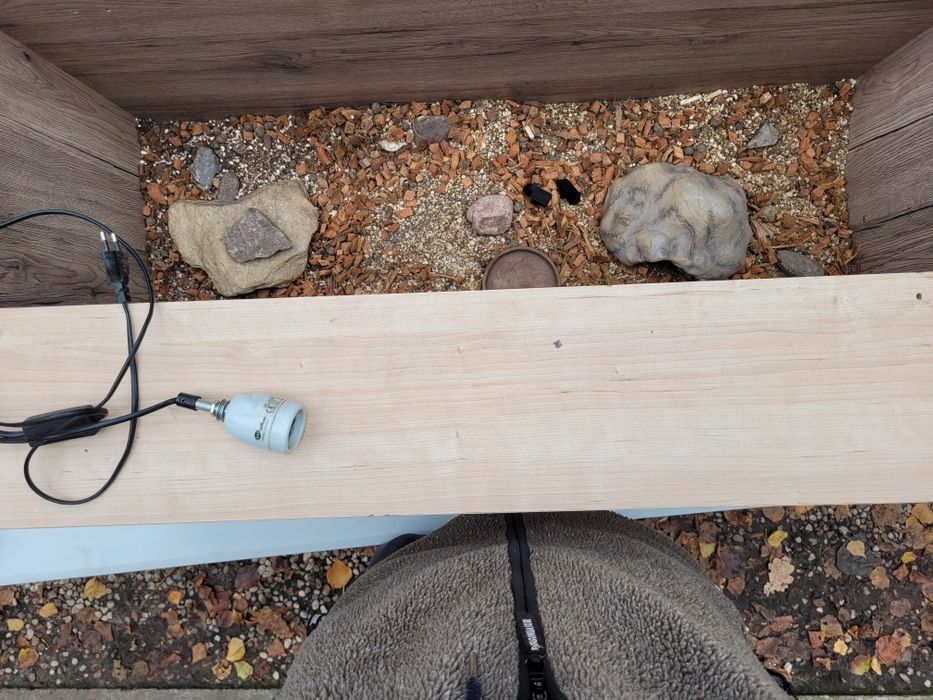 Terrarium dla żółwia