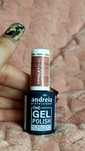 Verniz gel Andreia