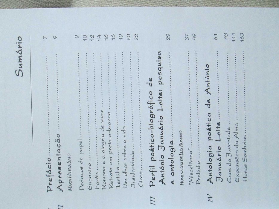 O Poeta Além Vale, António Januário Leite