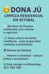 Limpeza particular
