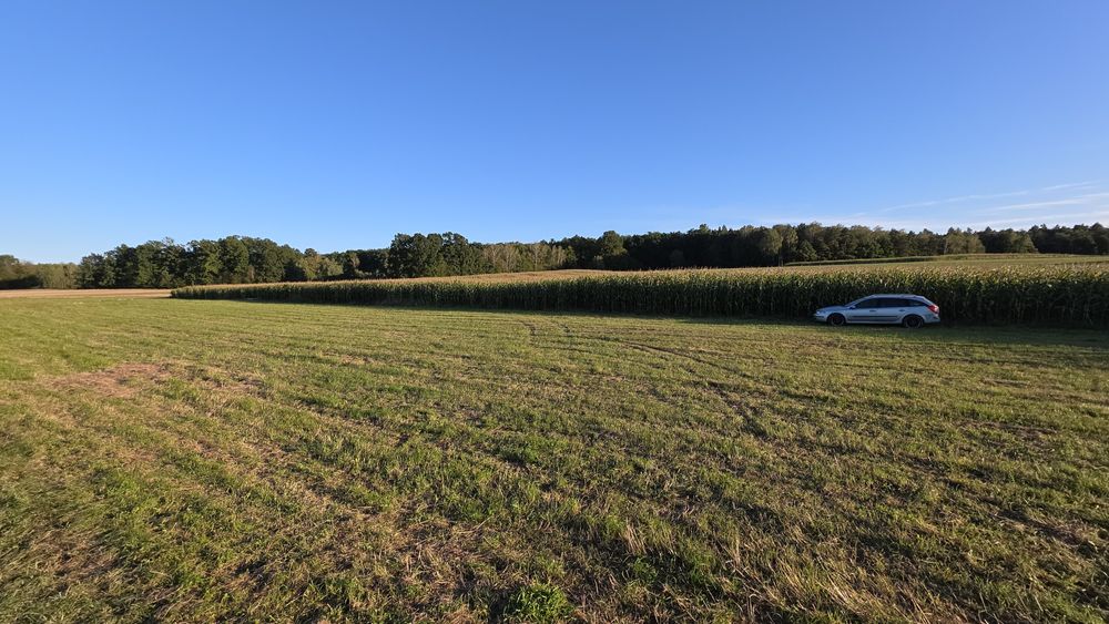 Kukurydza na pniu 6.2ha