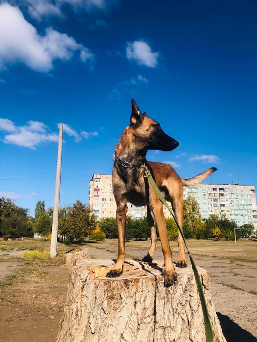 Хороший робочий парубок МАЛІНУА шукає дівчину