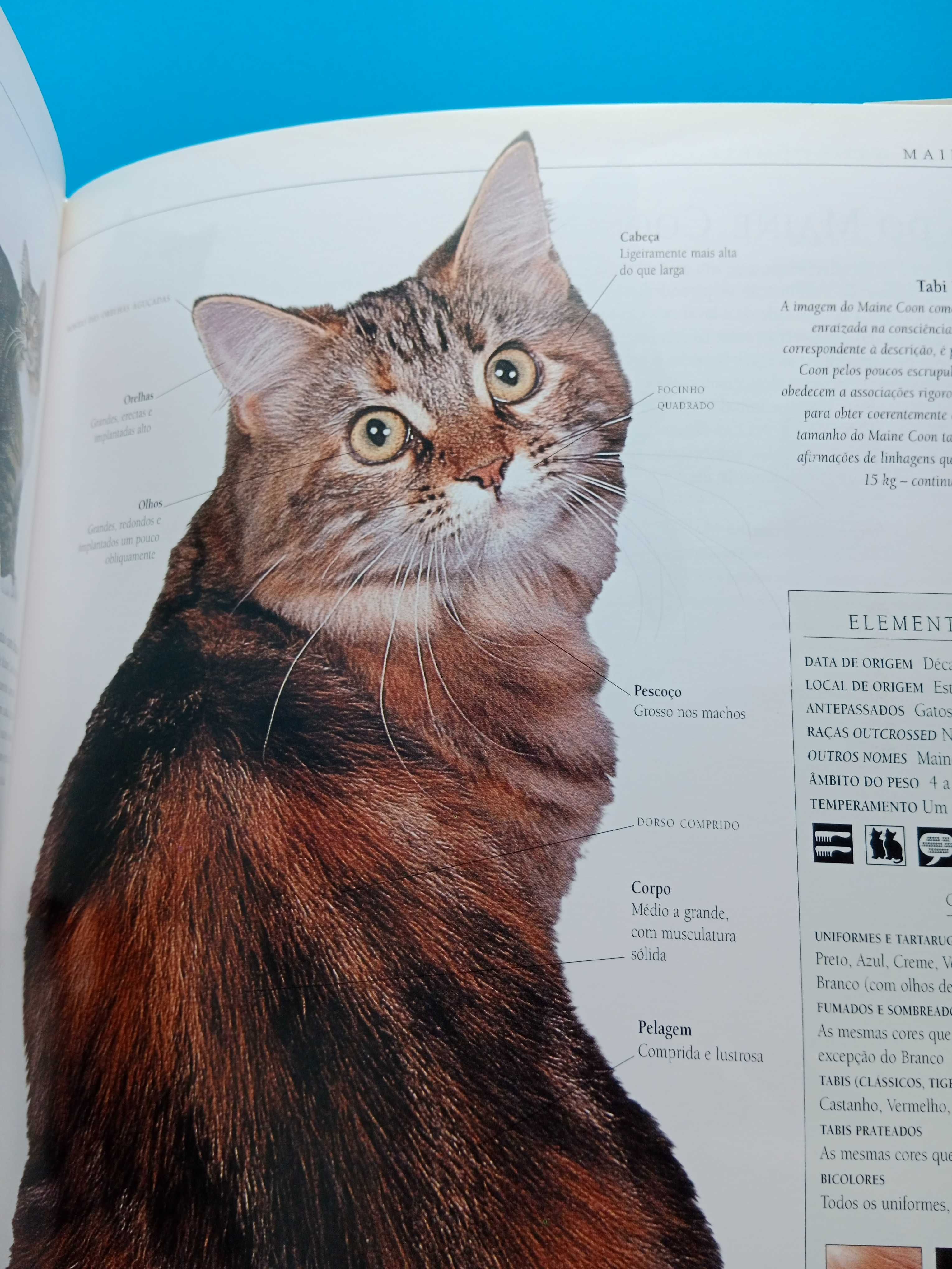 "A Enciclopédia do Gato " de Dr. Bruce Fogle