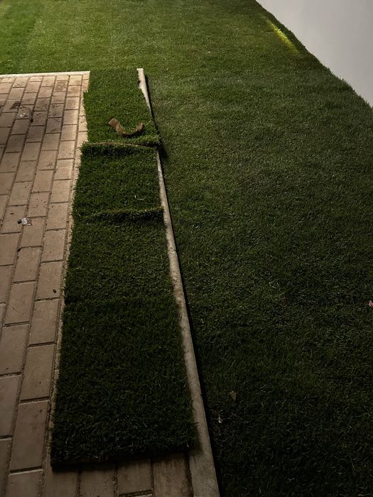 OFEREÇO 1.2 m2 de relva natural