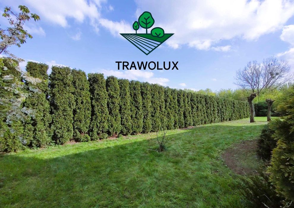 Porządkowanie posesji i prace ogrodowe